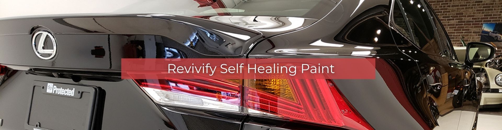 Revivify Self Healing Paint Protection